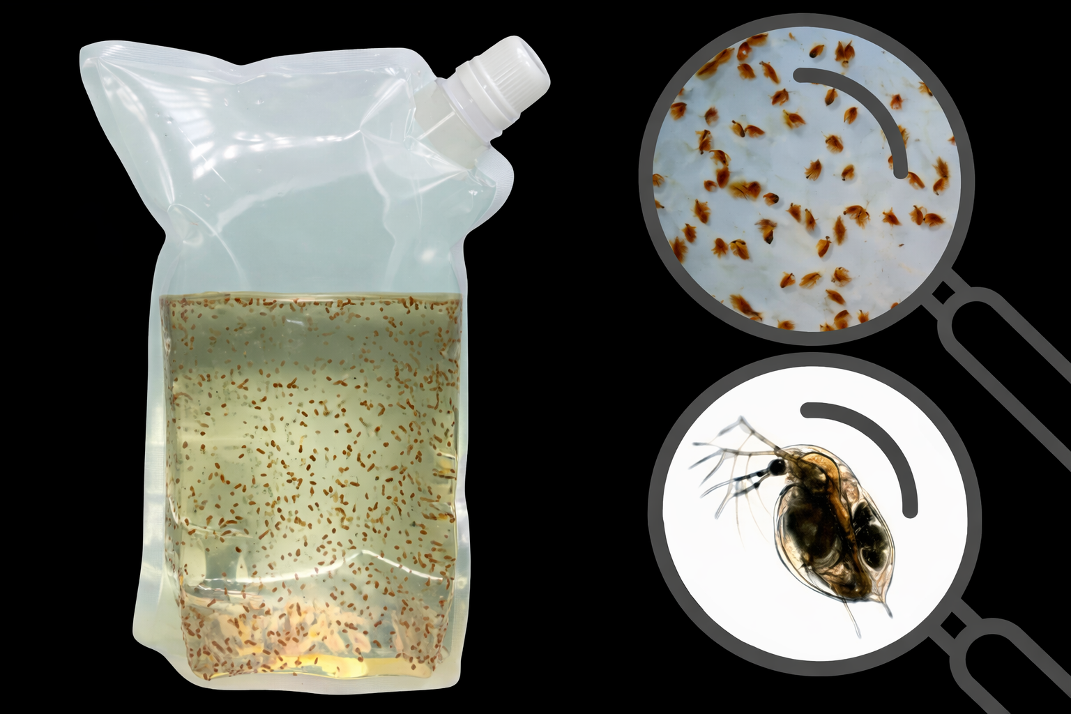 Zooplankton-Mix 500ml