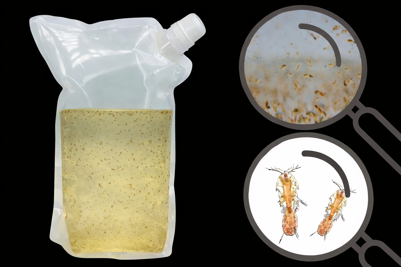 Mariner Copepoden Mix