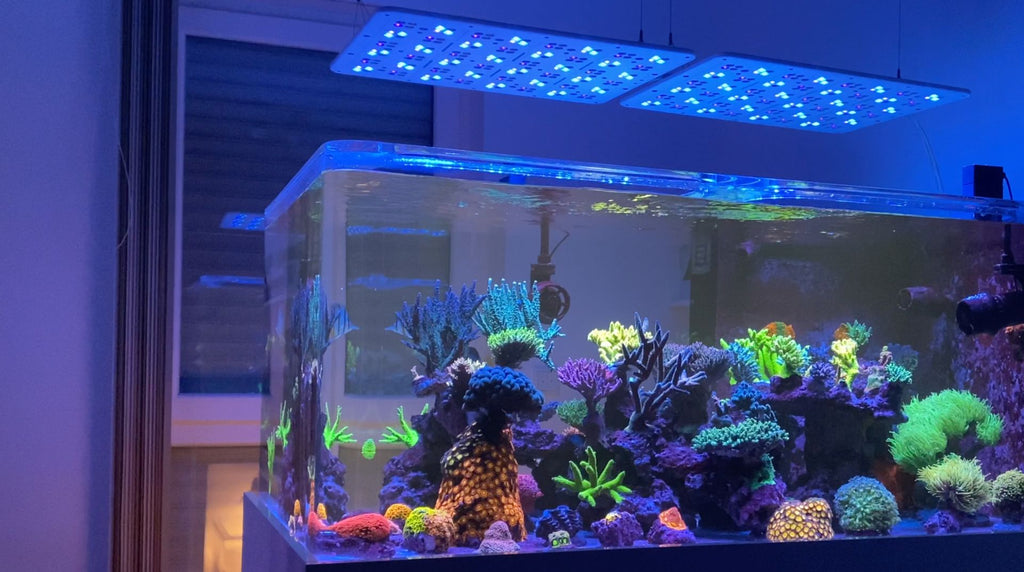 Straton Pro G2 102 Weiß