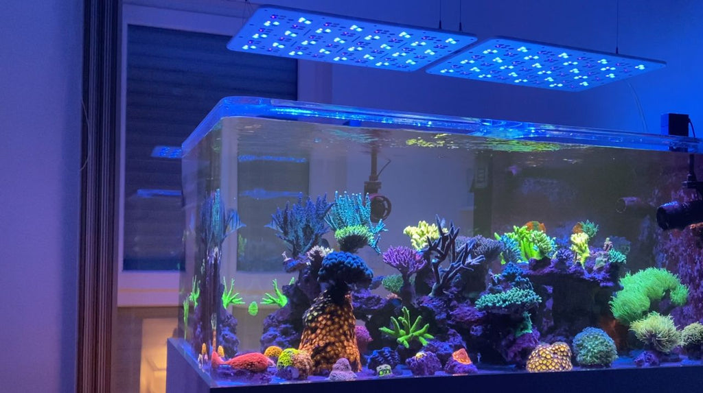 Straton Pro G2 102 Anthrazit